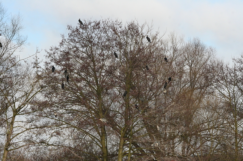 Killikus® Fotographie Killikus® Fotographie